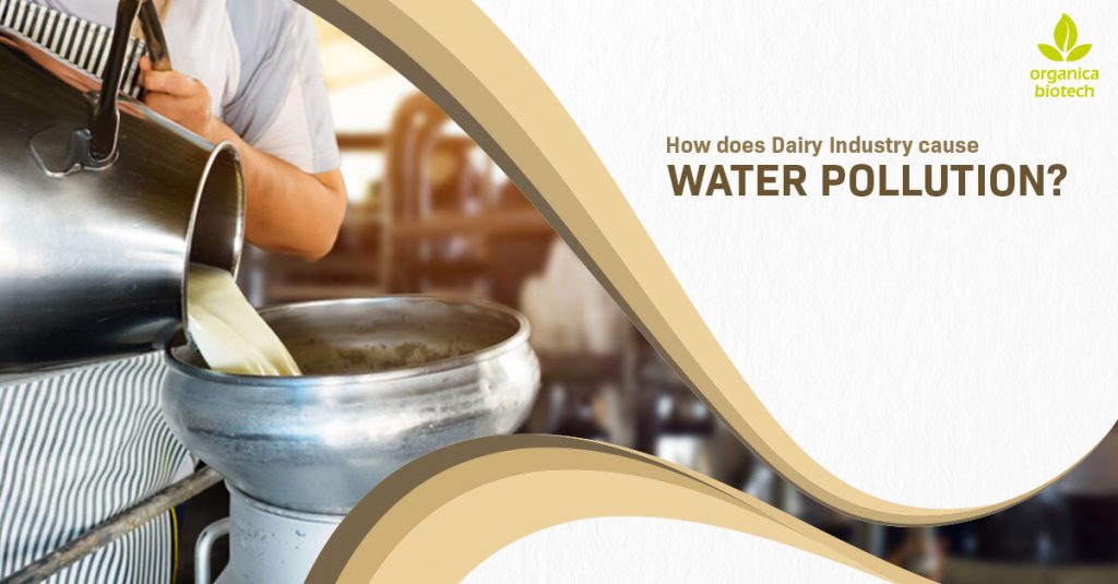 Dairy Industry Causes Water Pollution