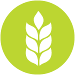 Organic Soltutions for Commercial Agriculture