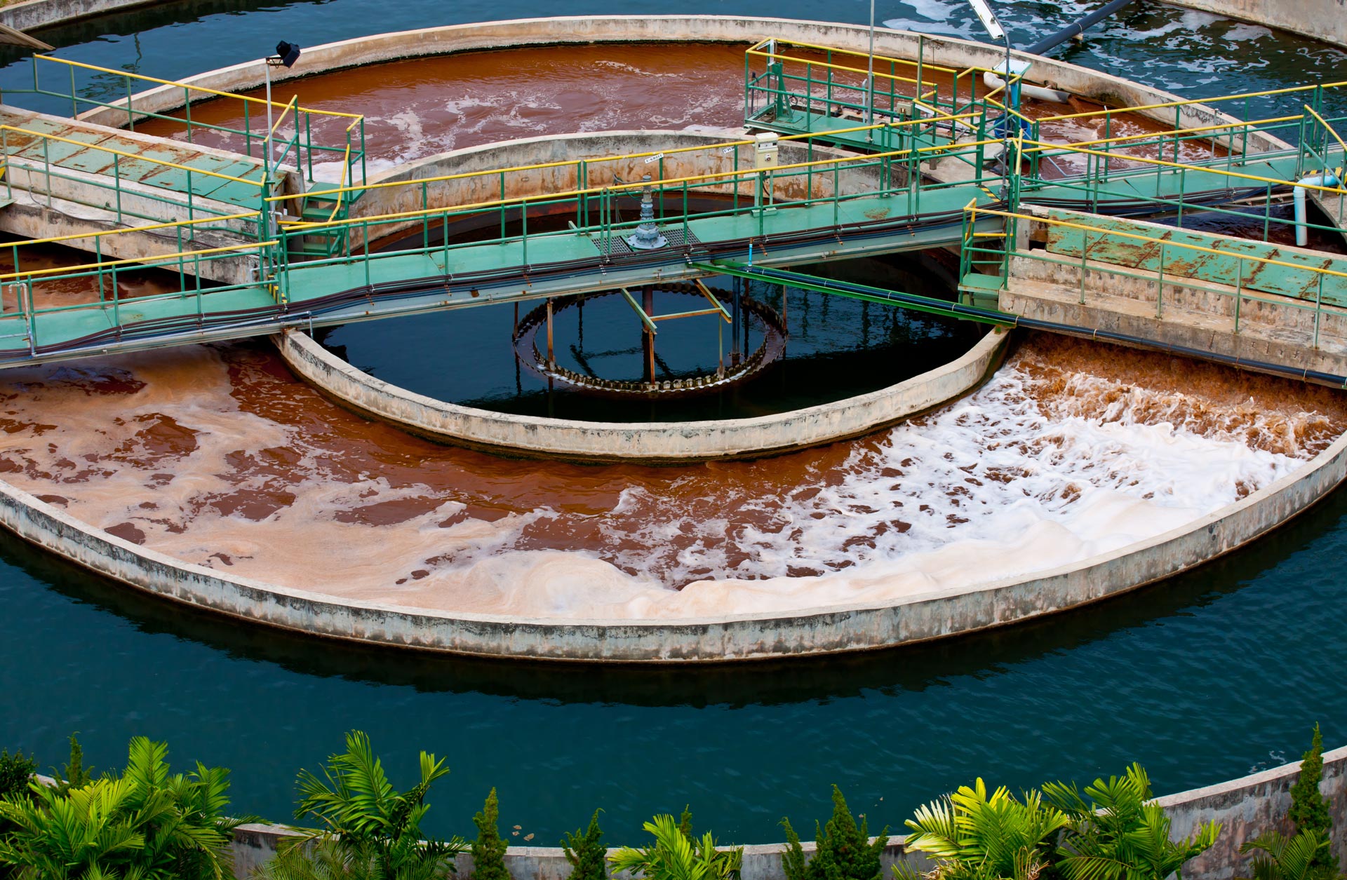 biological wastewater treatment