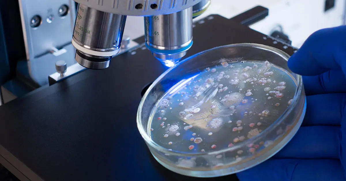 Empresa de Biotecnologia - Fornecendo Soluções Biológicas - Organica ...