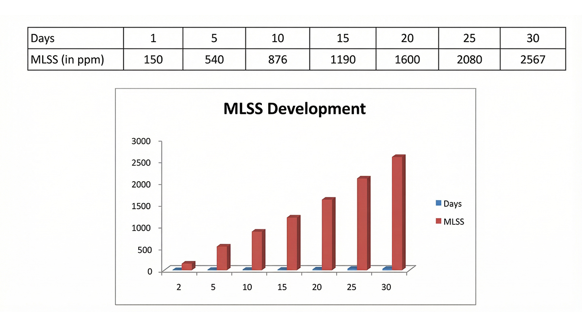 Line chart showing MLSS growth from 150 mg/L on Day 1 to 2000–3000 mg/L by Day 30 after CleanMaxx dosing